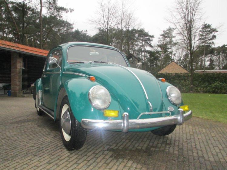 1964 vw beetle type1